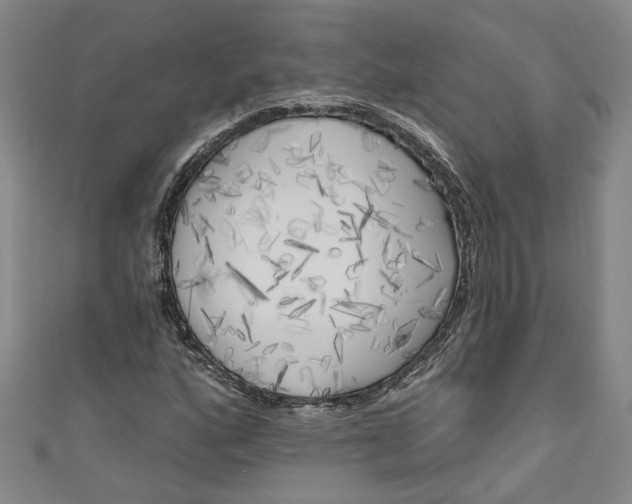 X0000111171160200907221022