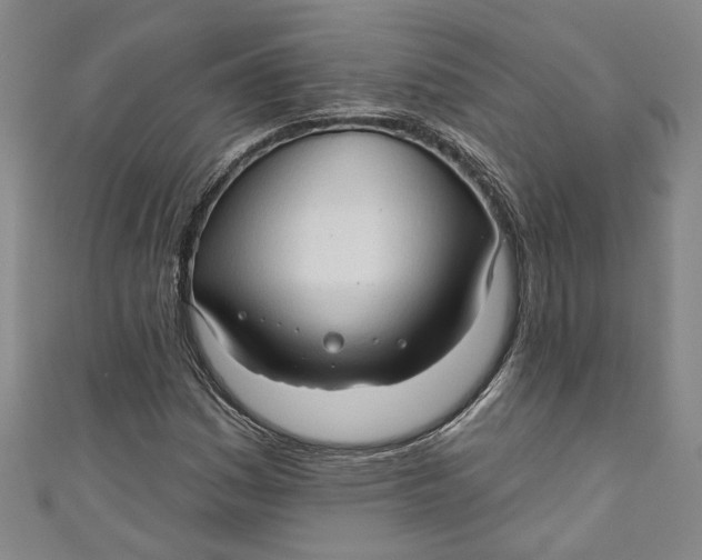 X0000111171161200907221022