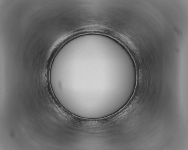 X0000111171164200907221022