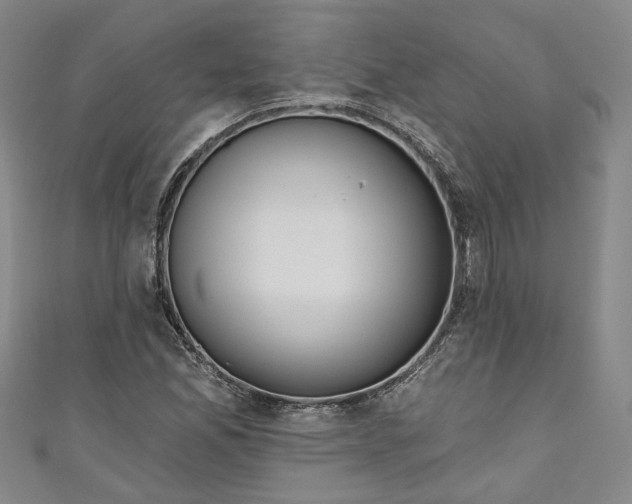 X0000111171165200907221022