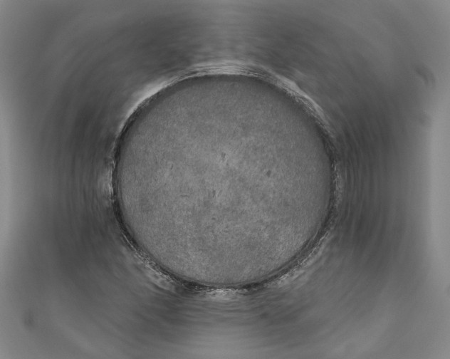 X0000111171166200907221022