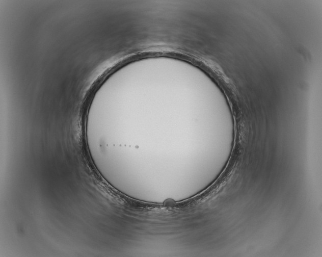 X0000111171167200907221022