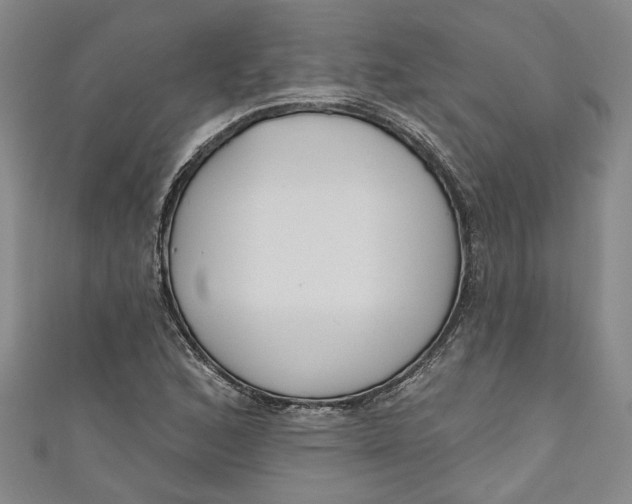 X0000111171168200907221022