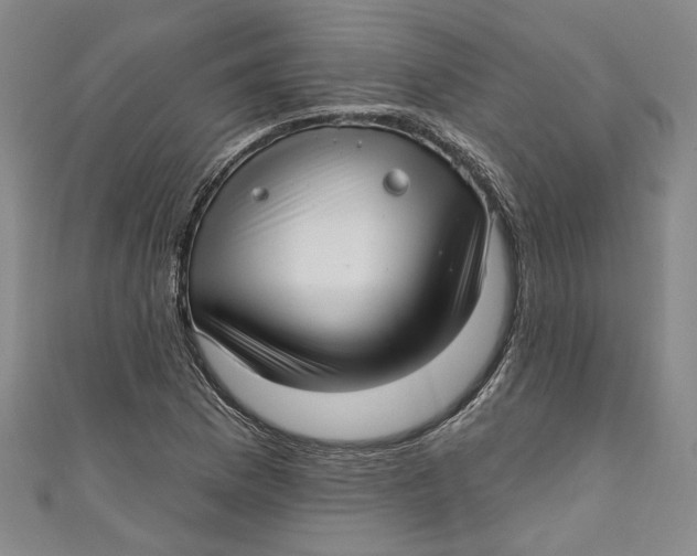 X0000111171169200907221022