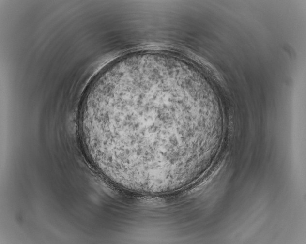 X0000111171170200907221022