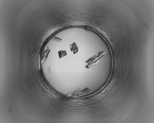 X0000111171171200907221022