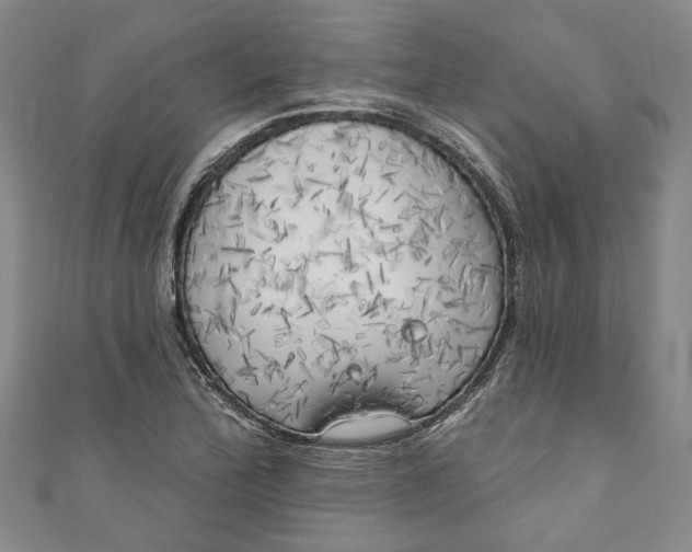 X0000111171172200907221022