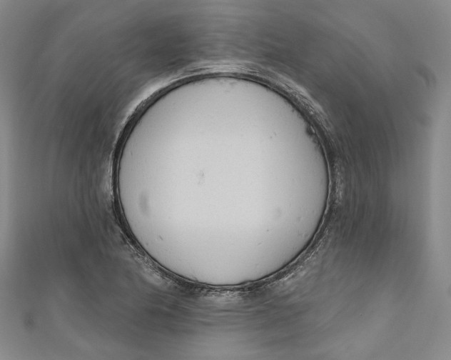 X0000111171174200907221022