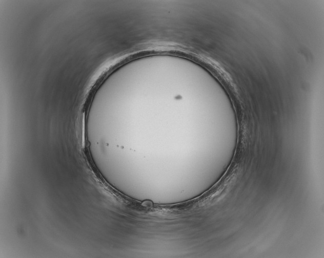 X0000111171175200907221022