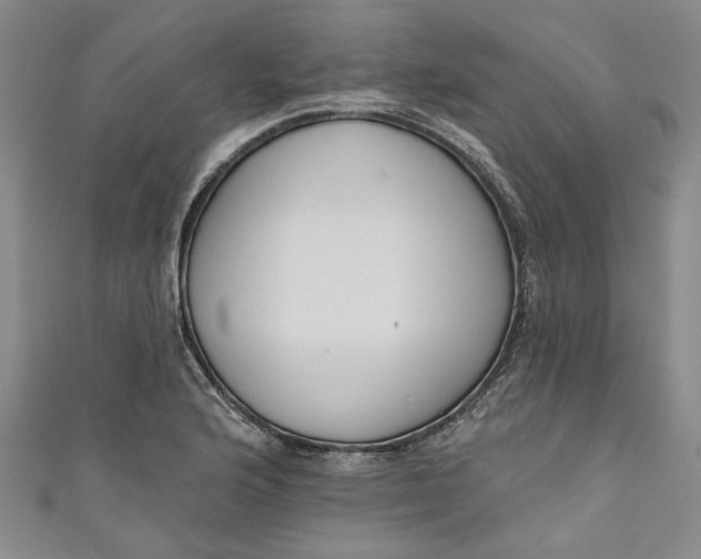 X0000111171176200907221022