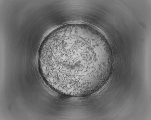 X0000111171179200907221021