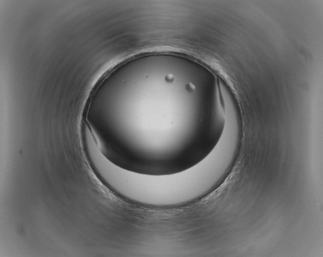 X0000111171181200907221021