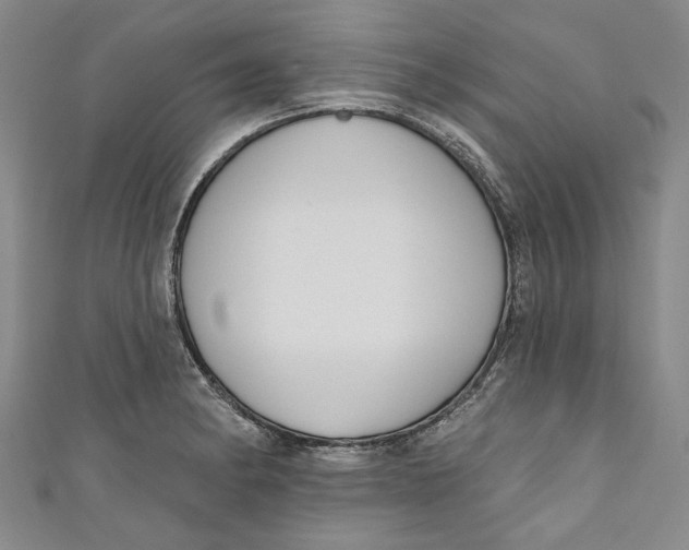 X0000111171182200907221021