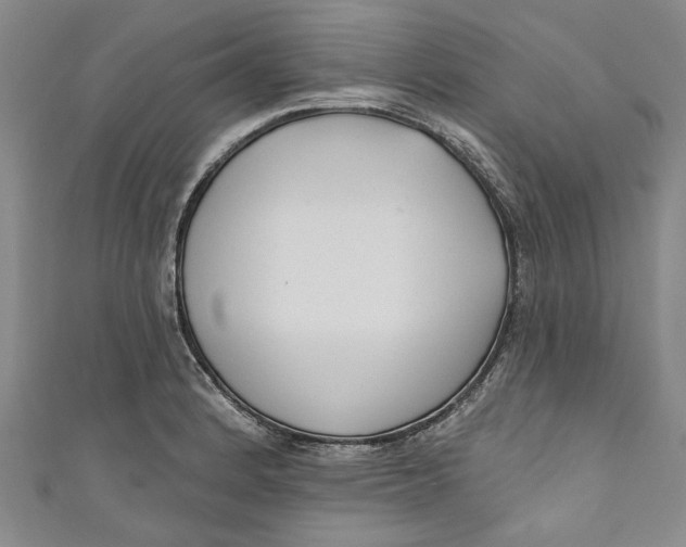 X0000111171184200907221021