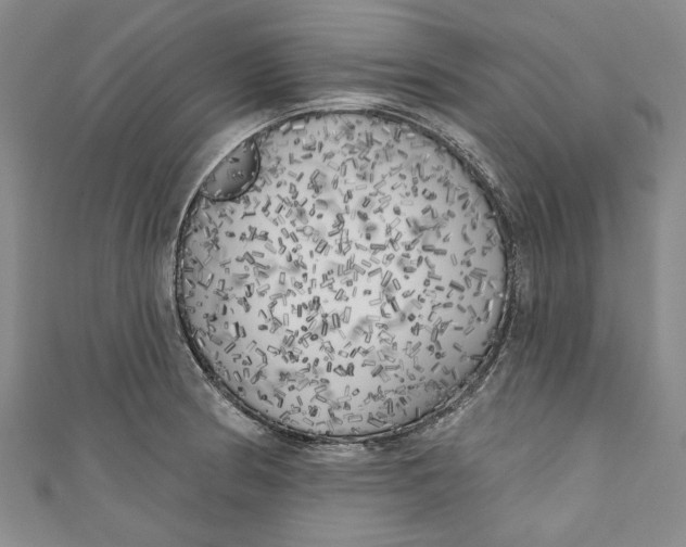 X0000111171186200907221021