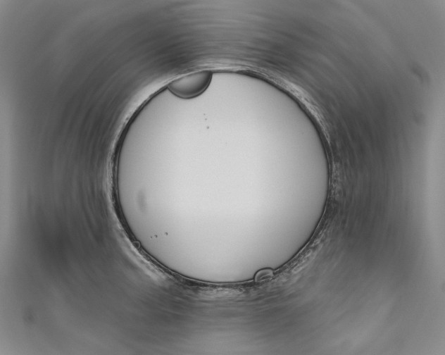 X0000111171187200907221021