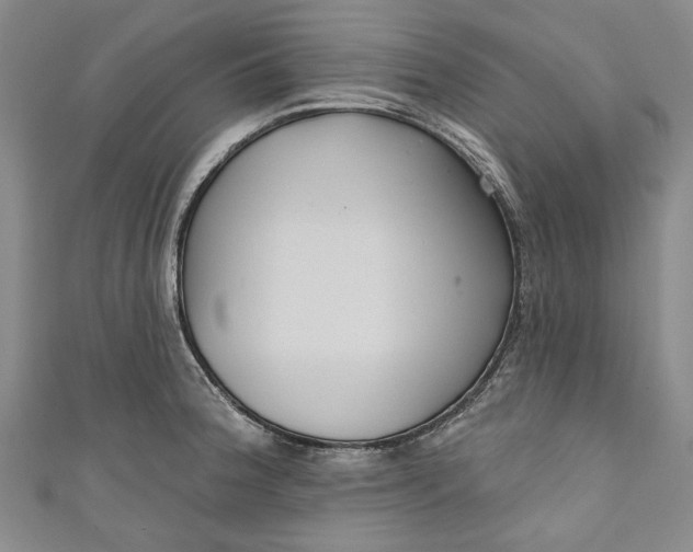 X0000111171188200907221021