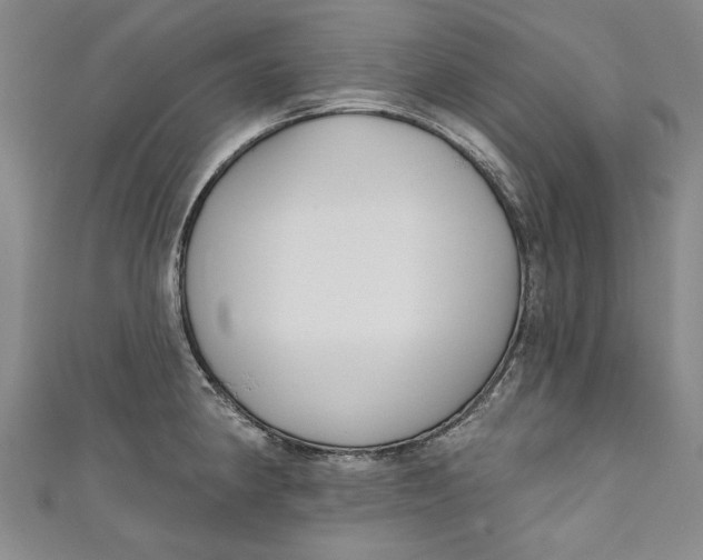 X0000111171190200907221021