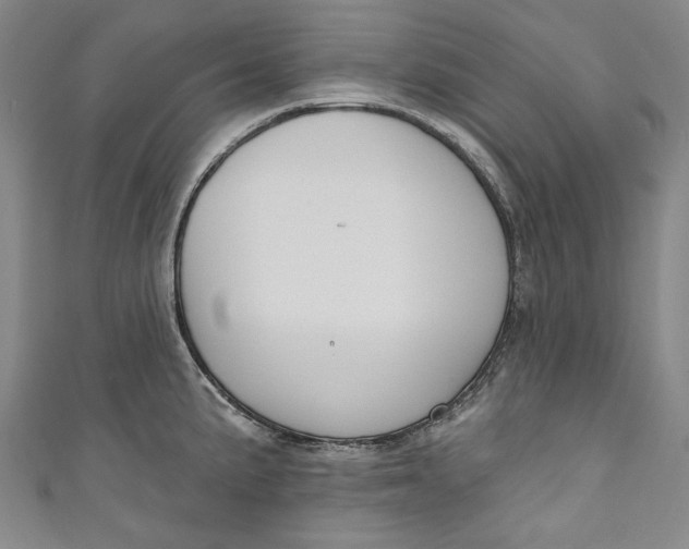 X0000111171191200907221021