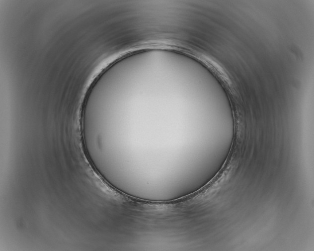 X0000111171192200907221021