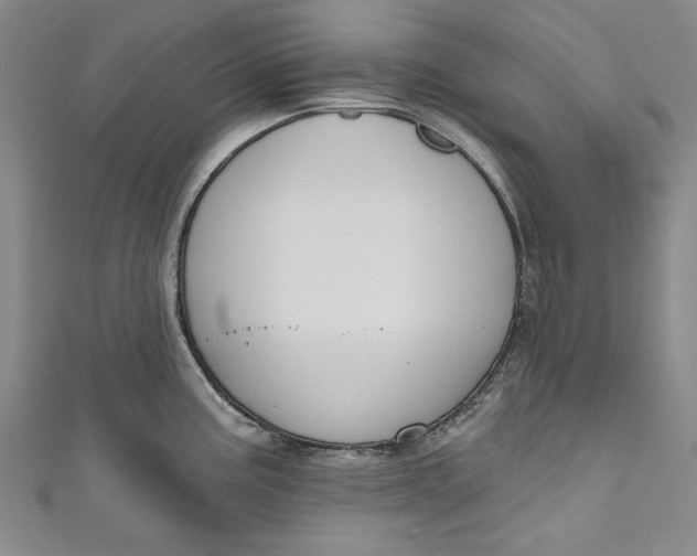 X0000111171195200907221021