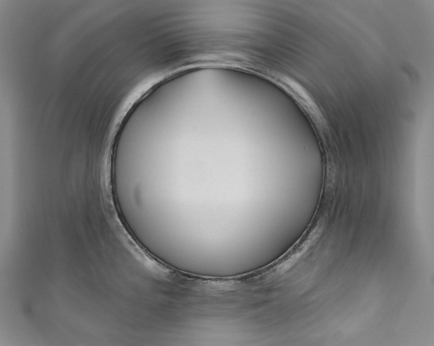 X0000111171196200907221021