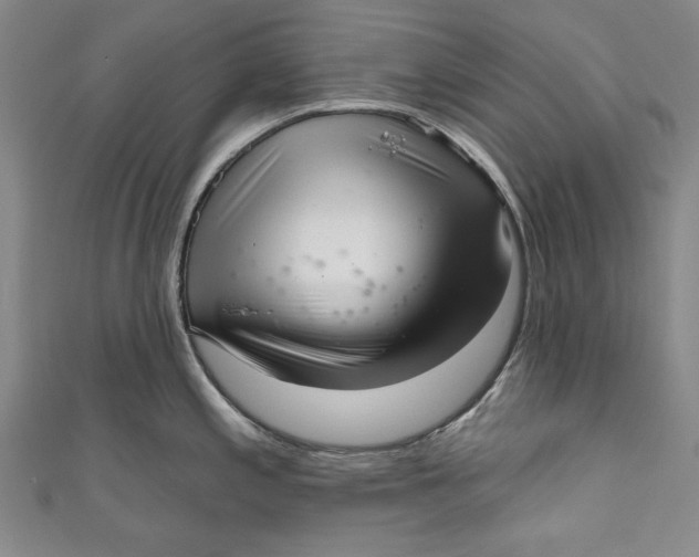 X0000111171197200907221021