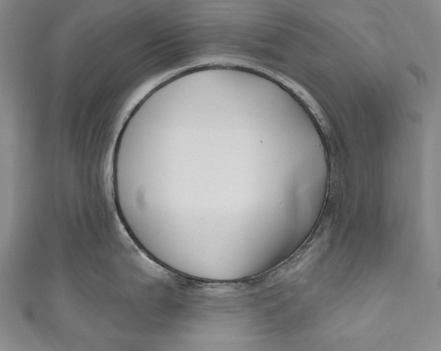 X0000111171199200907221021