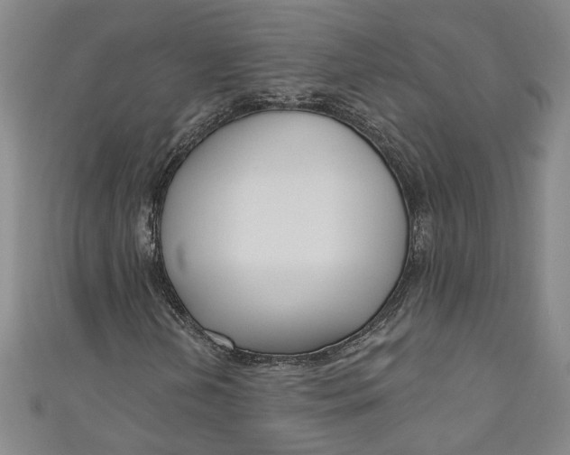 X0000111171202200907221021