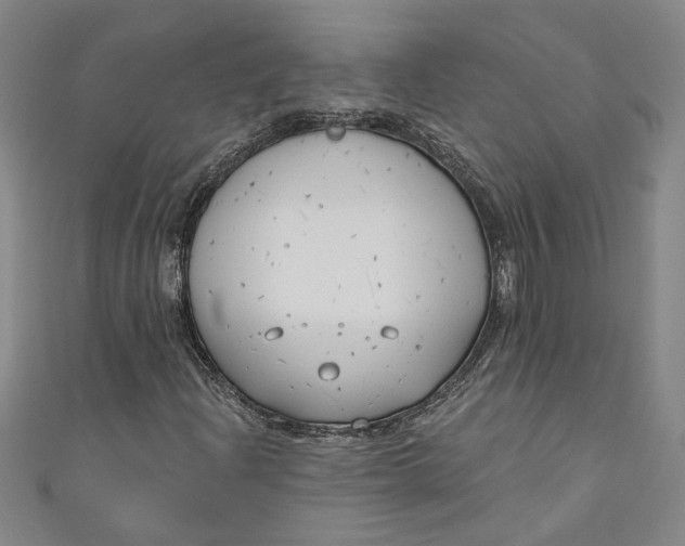 X0000111171204200907221021