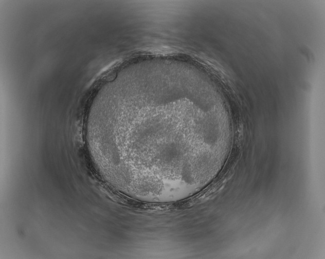 X0000111171205200907221021