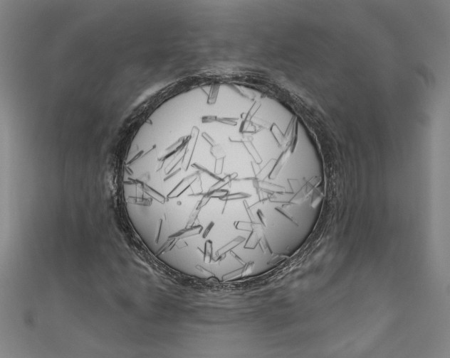 X0000111171206200907221021