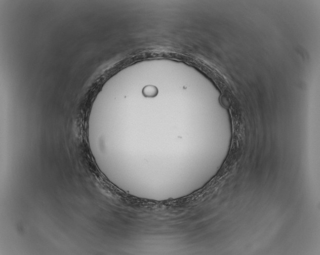 X0000111171207200907221021