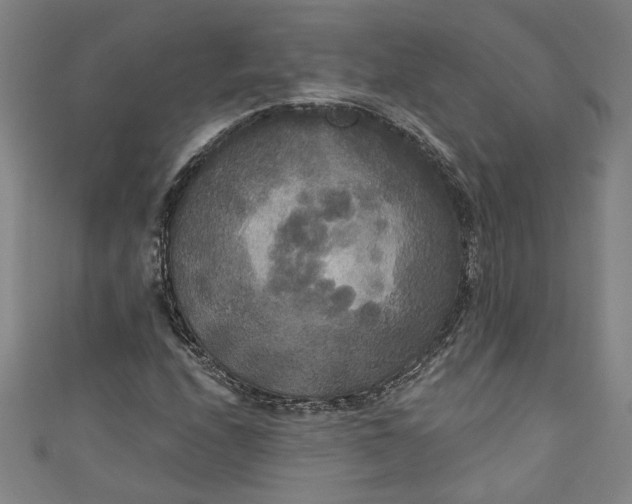 X0000111171208200907221021