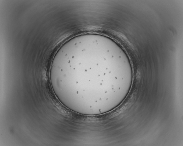 X0000111171209200907221021