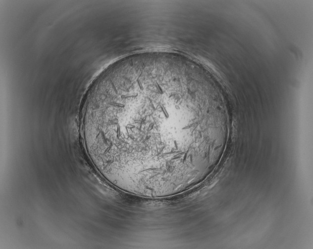 X0000111171212200907221021