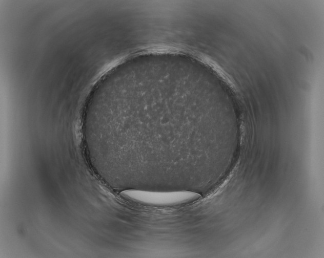 X0000111171213200907221021