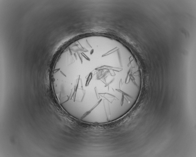 X0000111171214200907221021