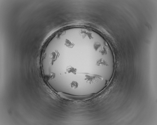 X0000111171216200907221021