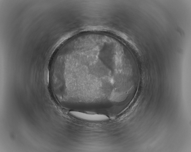 X0000111171221200907221021