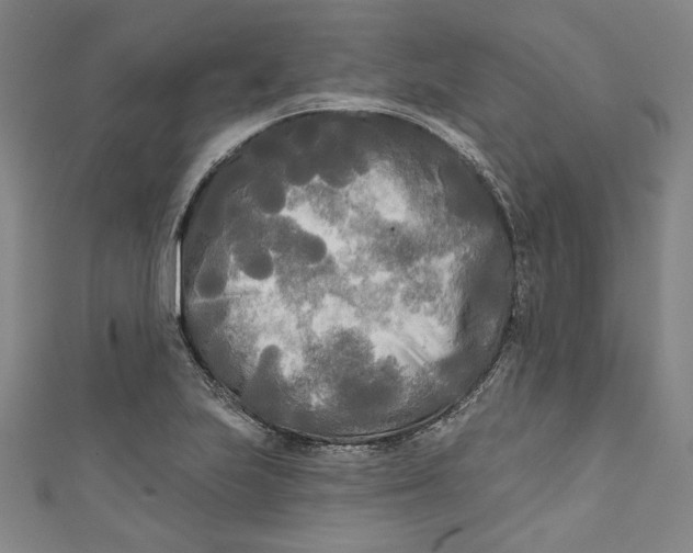 X0000111171223200907221021