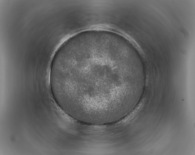 X0000111171224200907221021