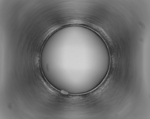 X0000111171225200907221021