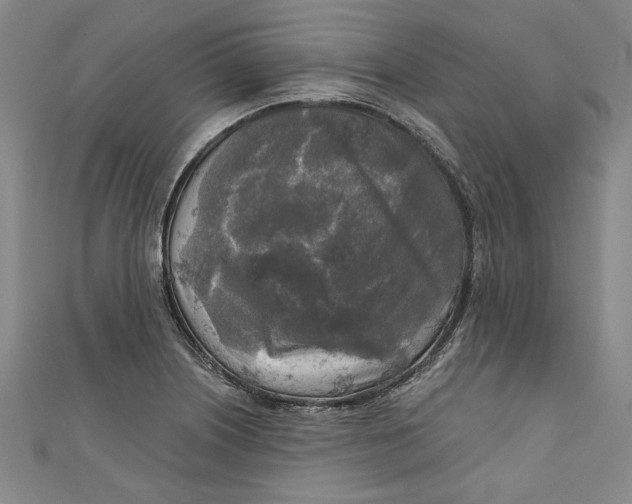 X0000111171226200907221021