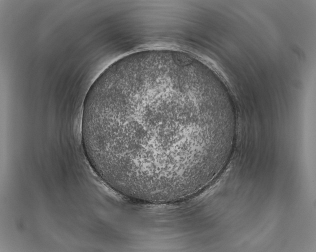 X0000111171228200907221021