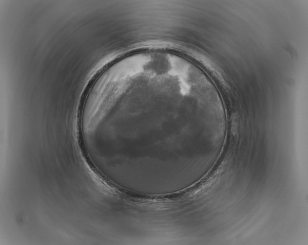 X0000111171229200907221021