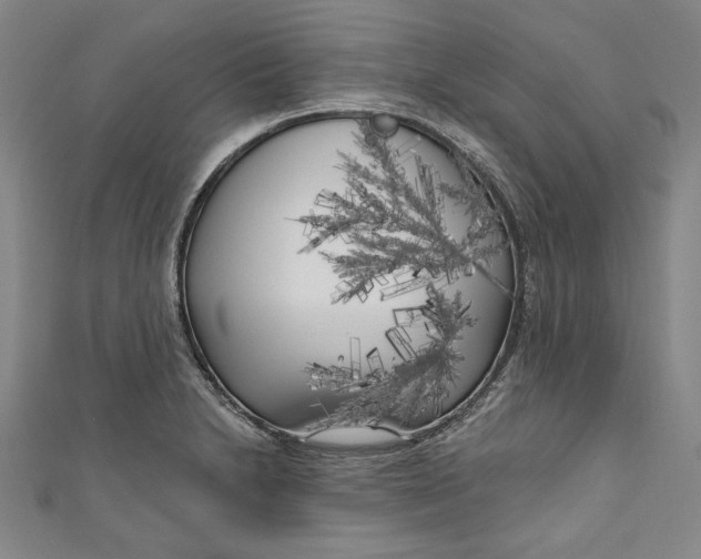 X0000111171230200907221021