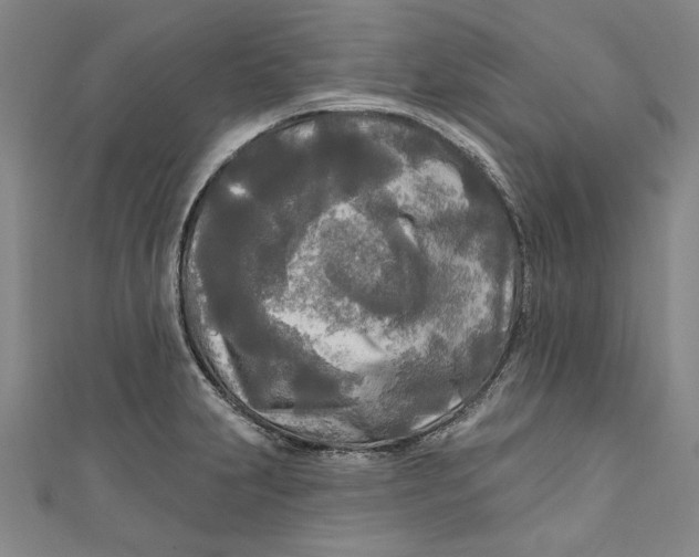 X0000111171231200907221021