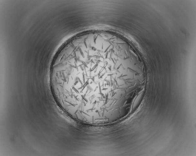 X0000111171232200907221021