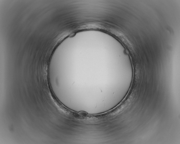 X0000111171233200907221021